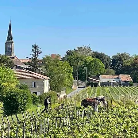Apartment With Ac, Pool & Garden, 2km St Emilion Saint-Christophe-des-Bardes